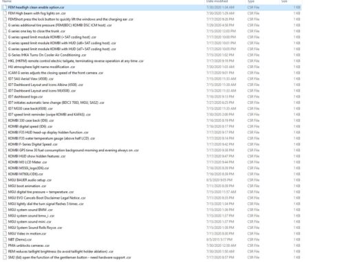 BMW New Features BMW Esys Scripts
  Collection - Image 3