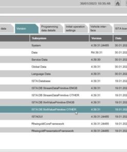 BMW ISTA Download V4.37.30 ISTA+ System
  Registration