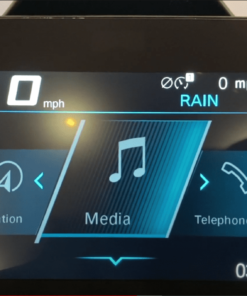 BMW Motorbike Coding Custom Menu Tile
  Order