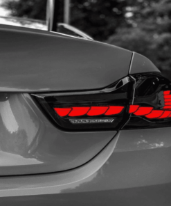 OLED Taillights