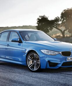 Remote BMW Coding Package for BMW F Series